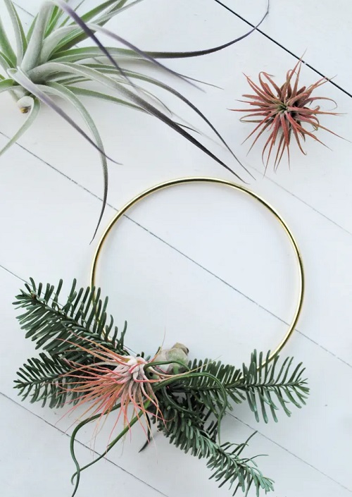 DIY Indoor Plant Wreath 3