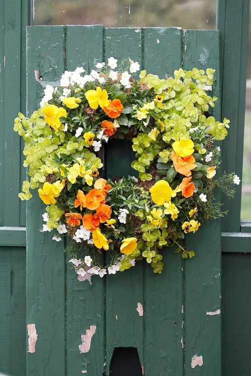 DIY Indoor Plant Wreath 5