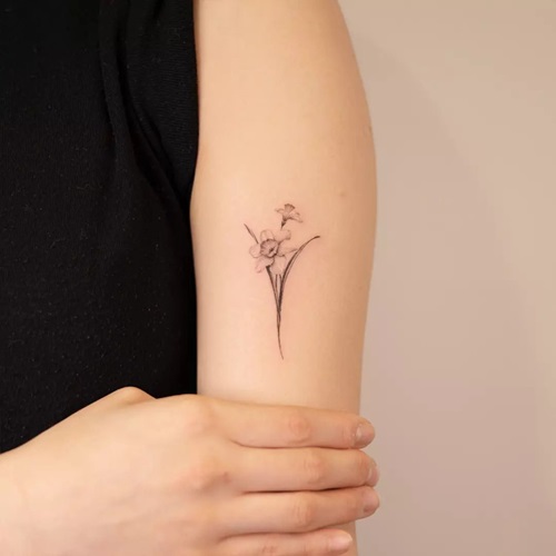 Narcissus Flower Tattoo 5