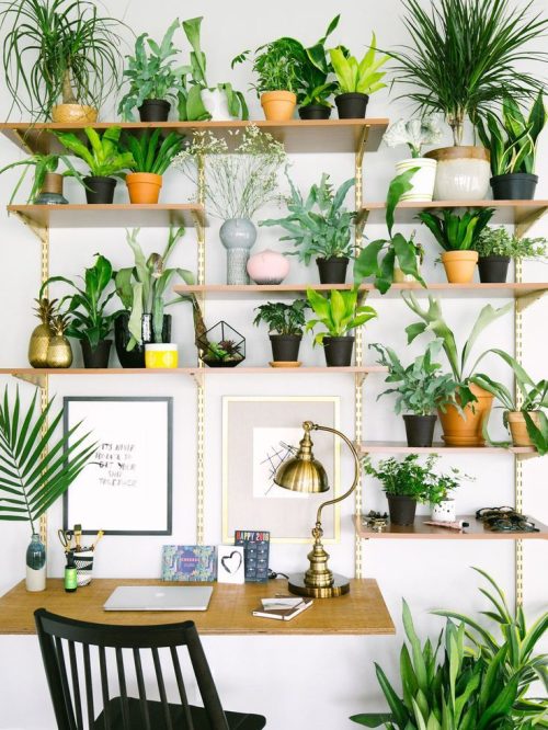 Air-Purifying Station with Indoor Plants 5