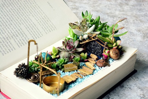 Succulent Garden From Unusual Items 9