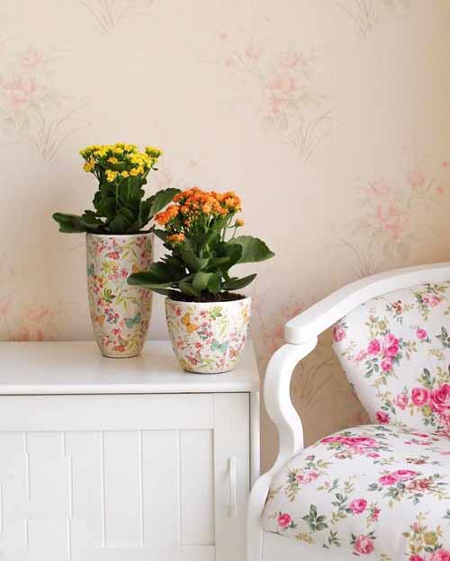 Flowering Kalanchoe Display Ideas 3