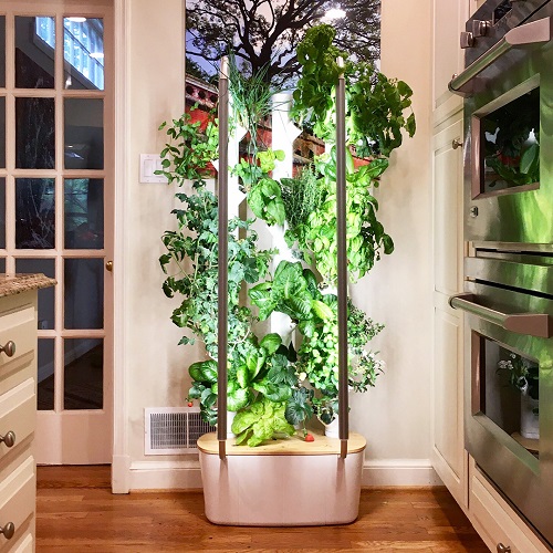 Ways to Create a Vertical Garden Indoors 13