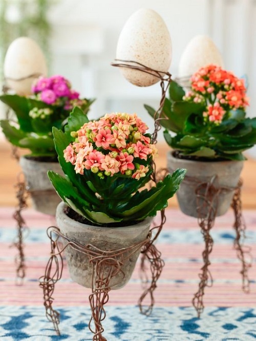 Flowering Kalanchoe Display Ideas 21