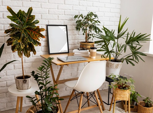 Air-Purifying Station with Indoor Plants 7