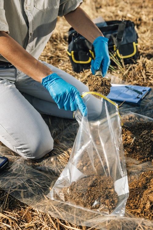 Ziplock Bag Uses in Garden 7