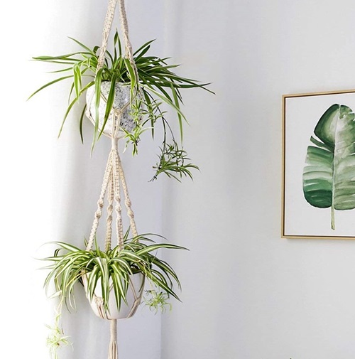 Spider Plant Wall Decor 7