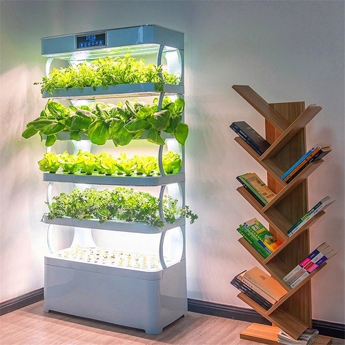 Ways to Create a Vertical Garden Indoors 25