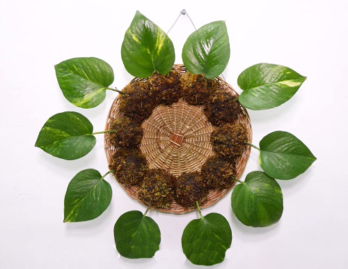 DIY Pothos Wreath 1