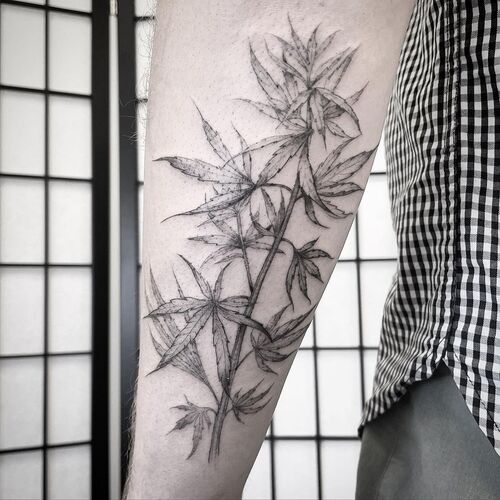 Canna Tattoo Ideas 1