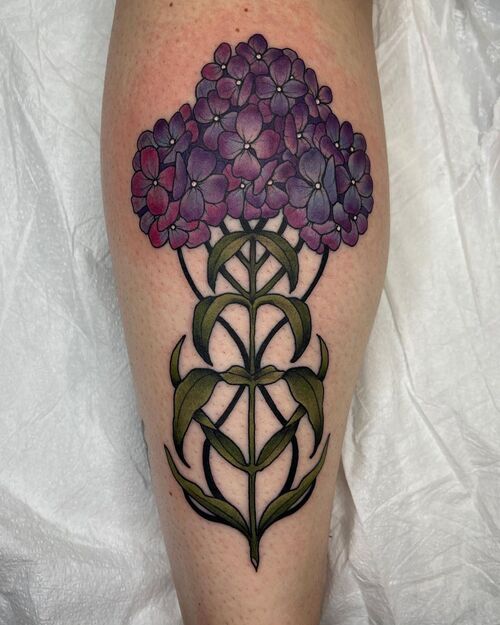 Hydrangea Tatto 13