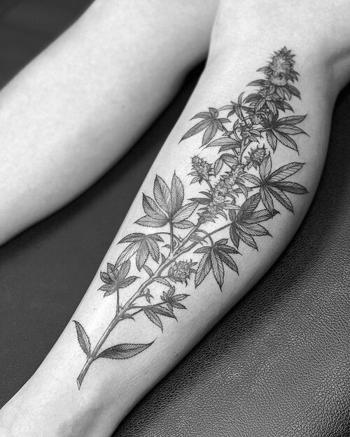 Canna Tattoo Ideas 13