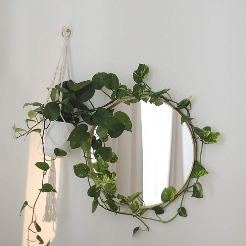 DIY Pothos Wreath 15