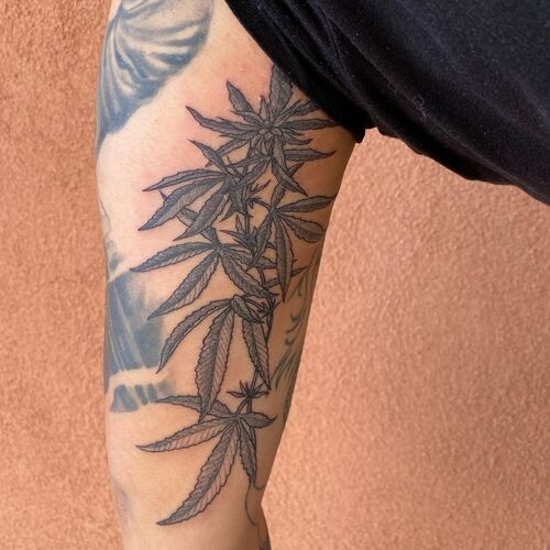 Canna Tattoo Ideas 15