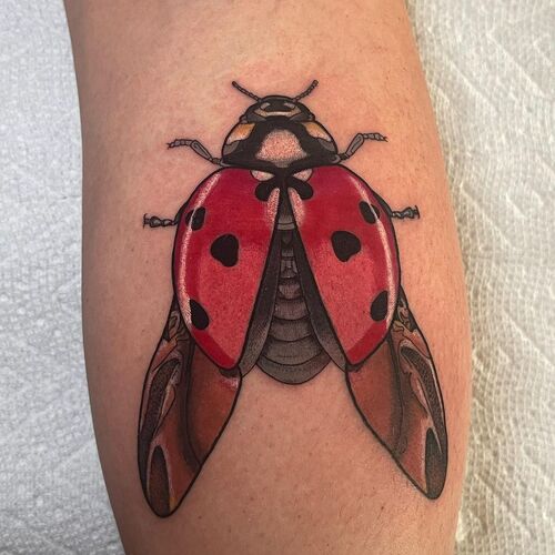 Ladybug Tattoo 25