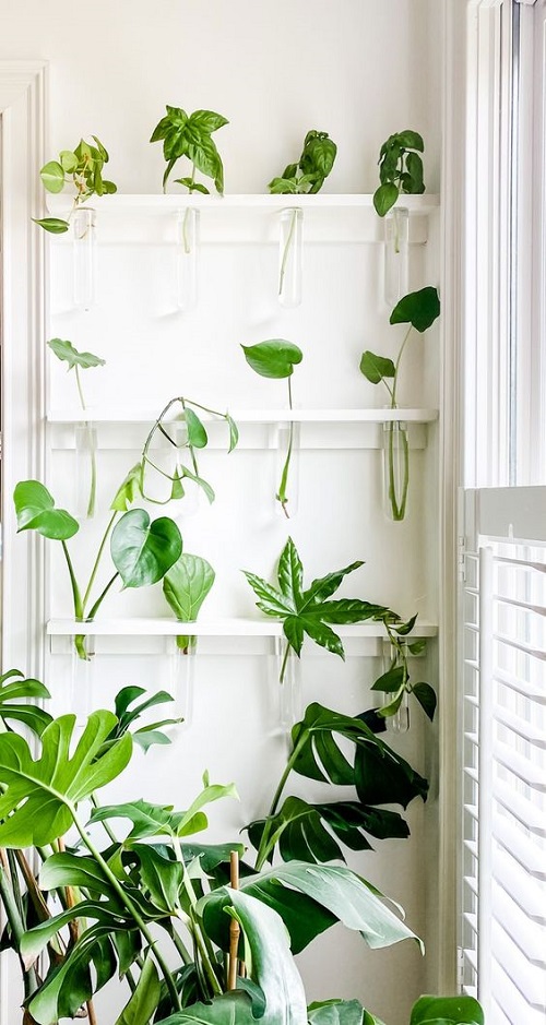 20 Indoor Window Propagation Station Ideas 1