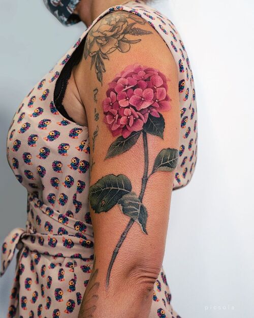 Hydrangea Tatto 27