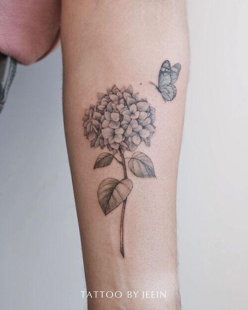 Hydrangea Tatto 49