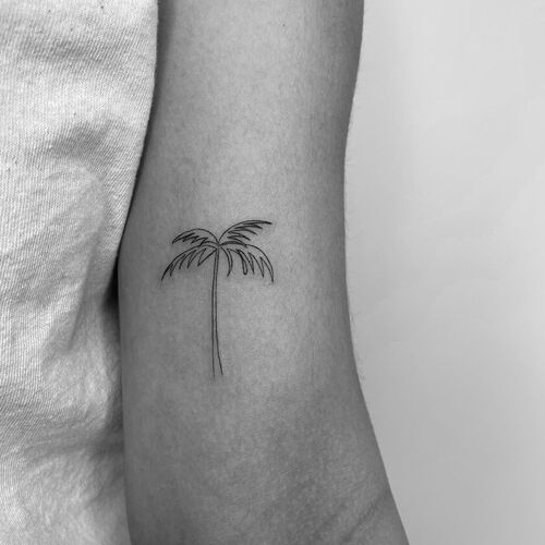 Small Palm Tree Tattoo 5