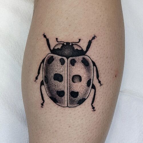 Ladybug Tattoo 9