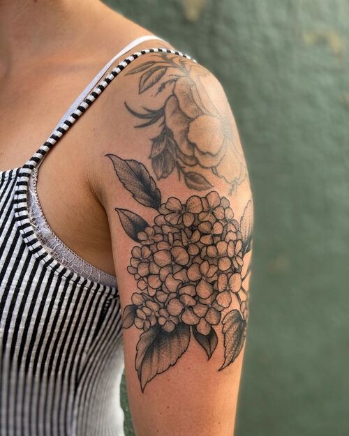 Hydrangea Tatto 9