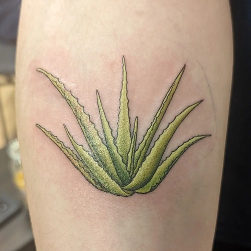 Spiritual Tattoos Related to Plants 19