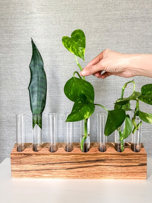 20 Indoor Window Propagation Station Ideas 3