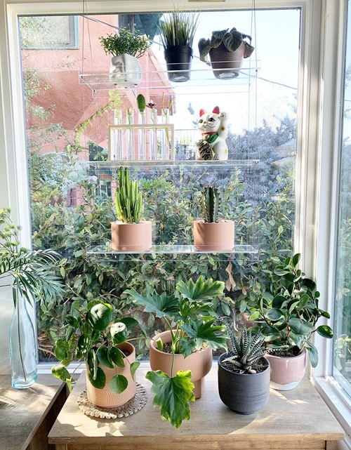 20 Indoor Window Propagation Station Ideas 9