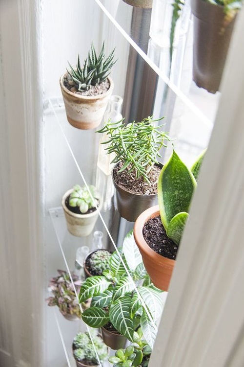 Indoor Window Propagation Station Ideas 7