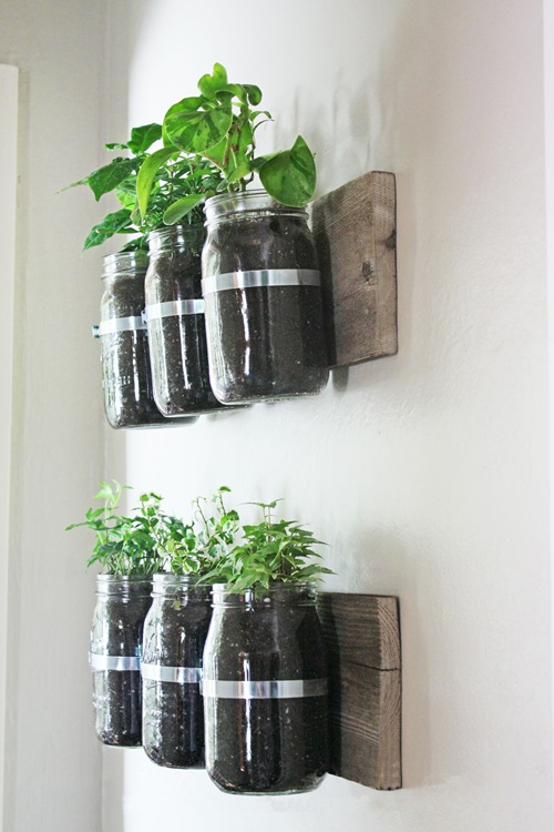 20 Indoor Window Propagation Station Ideas 7