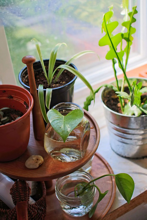 Indoor Window Propagation Station Ideas 11