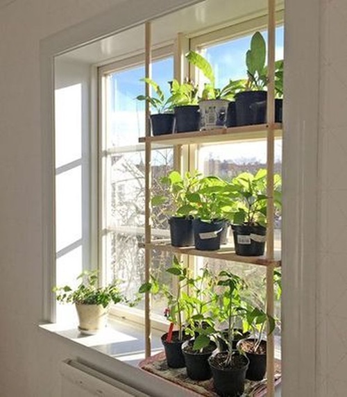 Indoor Window Propagation Station Ideas 13