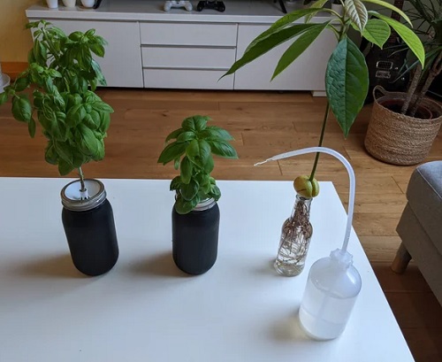 The Kratky Method 6