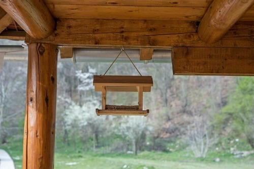 Ceiling Bird Feeder 4