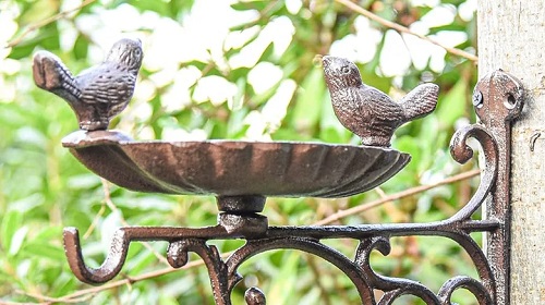 Hanging Bird Feeder on the Wall 8