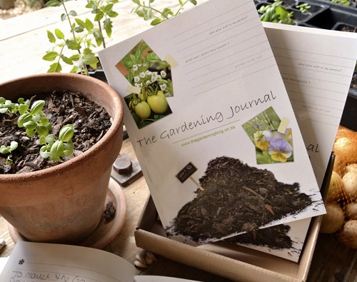 Indoor Gardening Resolutions 10