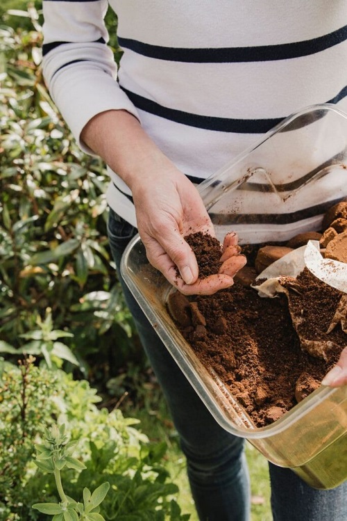 more flower bloom with these Fertilizer Recipe