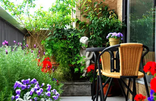 Create a Friendly Environment