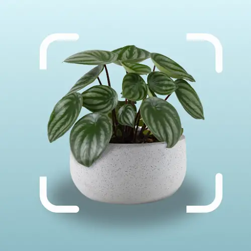 Garden Planner app