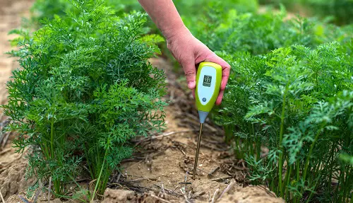 How to Change Your Soil pH