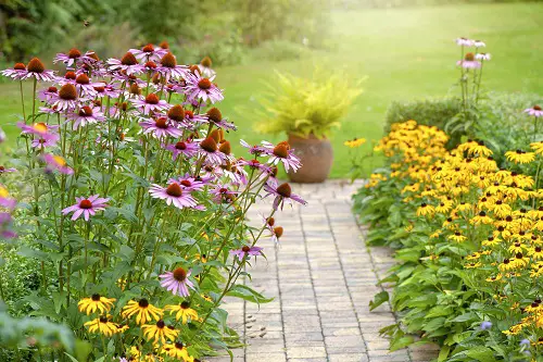 Seasonal Garden Color Schemes