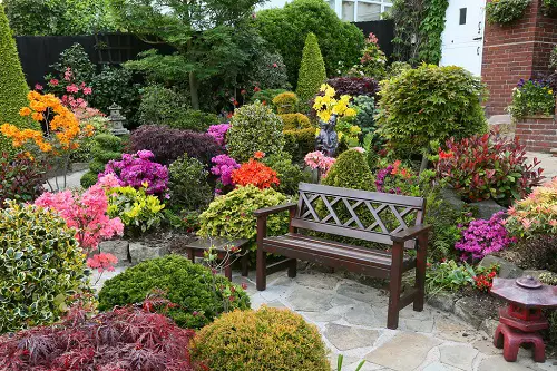 Tips to Choose Garden Color Schemes