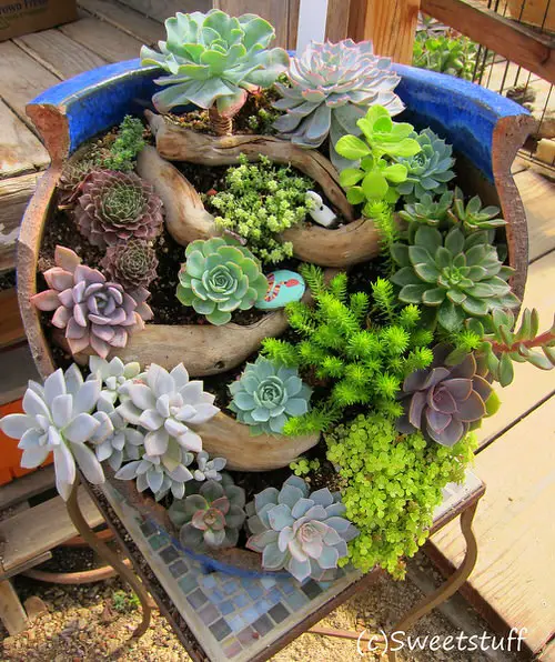How to Turn Broken Pots into Stunning Features 13