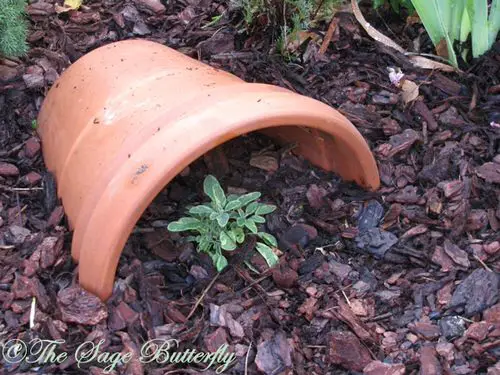 How to Turn Broken Pots into Stunning Features 14