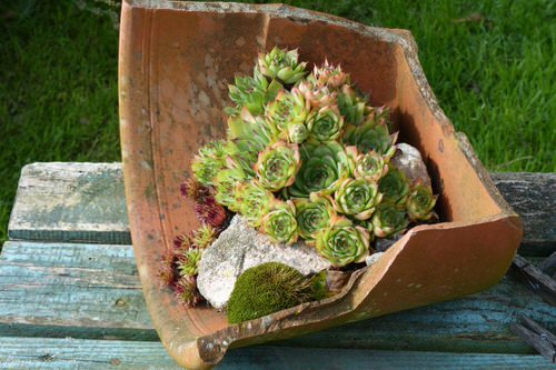 How to Turn Broken Pots into Stunning Features 16