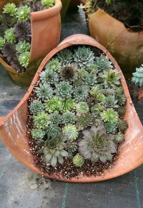 How to Turn Broken Pots into Stunning Features 18