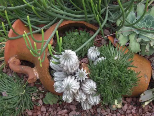 DIY planter ideas