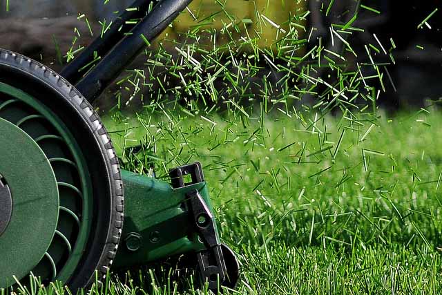 Ideal Grass Cutting Height for Lawn | Balcony Garden Web