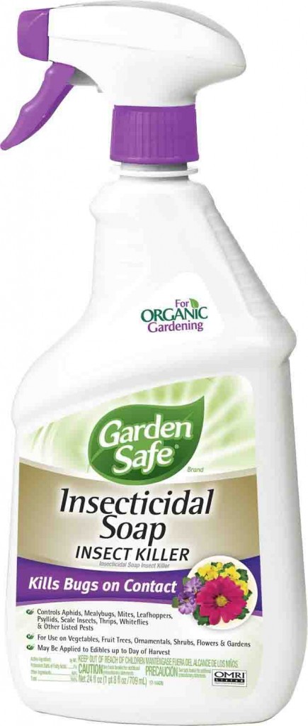 what is insectcidial soap