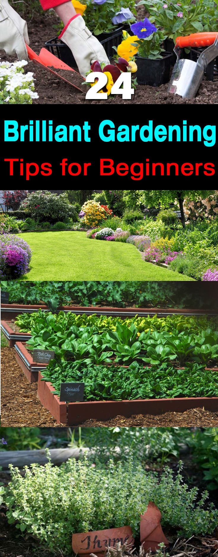 If you started gardening recently and tag yourself as a beginner then these '24 Gardening Tips for Beginners' are useful for you.